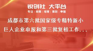 成都市第六批國家級專精特新小巨人企業(yè)申報和第三批復(fù)核工作申報（復(fù)核）范圍和條件獎補(bǔ)政策