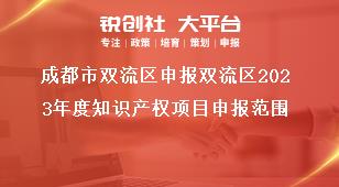 成都市雙流區(qū)申報雙流區(qū)2023年度知識產(chǎn)權(quán)項目申報范圍獎補政策