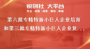 第六批專精特新小巨人企業(yè)培育和第三批專精特新小巨人企業(yè)復核工作企業(yè)申請要求獎補政策