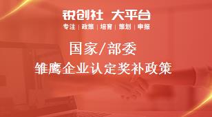 國家/部委雛鷹企業(yè)認定獎補政策