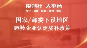 國家/部委下設(shè)地區(qū)瞪羚企業(yè)認(rèn)定獎補(bǔ)政策