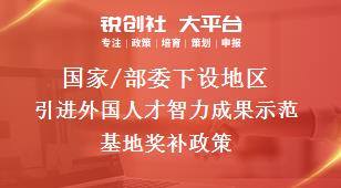 國家/部委下設(shè)地區(qū)引進(jìn)外國人才智力成果示范基地獎(jiǎng)補(bǔ)政策