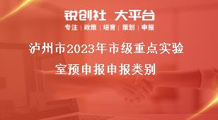 瀘州市2023年市級重點實驗室預(yù)申報申報類別獎補政策