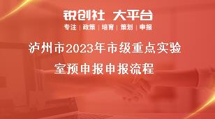 瀘州市2023年市級重點(diǎn)實(shí)驗(yàn)室預(yù)申報(bào)申報(bào)流程獎補(bǔ)政策