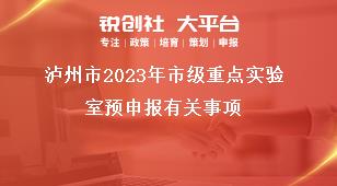 瀘州市2023年市級重點實驗室預申報有關(guān)事項獎補政策