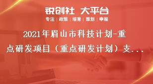 2021年眉山市科技計(jì)劃-重點(diǎn)研發(fā)項(xiàng)目（重點(diǎn)研發(fā)計(jì)劃）支持范圍獎補(bǔ)政策