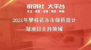 2021年攀枝花市市級科技計劃項目支持領域獎補政策