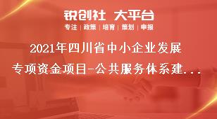 2021年四川省中小企業(yè)發(fā)展專項資金項目-公共服務(wù)體系建設(shè)申報條件獎補政策