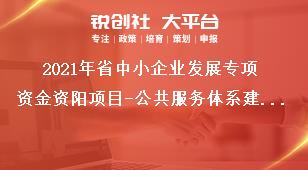 2021年省中小企業(yè)發(fā)展專項資金資陽項目-公共服務(wù)體系建設(shè)補(bǔ)助標(biāo)準(zhǔn)獎補(bǔ)政策