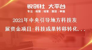 2021年中央引導(dǎo)地方科技發(fā)展資金項(xiàng)目-科技成果轉(zhuǎn)移轉(zhuǎn)化申報(bào)范圍及條件獎(jiǎng)補(bǔ)政策