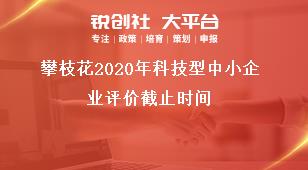 攀枝花2020年科技型中小企業(yè)評價截止時間獎補政策