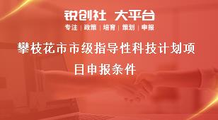 攀枝花市市級指導性科技計劃項目申報條件獎補政策