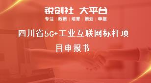 四川省5G+工業(yè)互聯(lián)網(wǎng)標桿項目申報書獎補政策