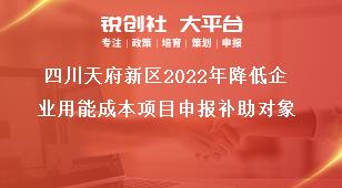 四川天府新區(qū)2022年降低企業(yè)用能成本項(xiàng)目申報(bào)補(bǔ)助對(duì)象獎(jiǎng)補(bǔ)政策