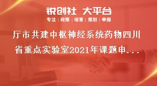 廳市共建中樞神經(jīng)系統(tǒng)藥物四川省重點實驗室2021年課題申請材料獎補(bǔ)政策