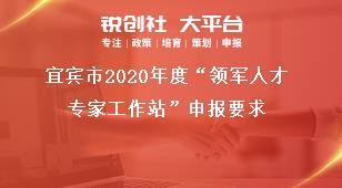 宜賓市2020年度“領(lǐng)軍人才專家工作站”申報(bào)要求獎(jiǎng)補(bǔ)政策