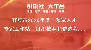 宜賓市2020年度“領(lǐng)軍人才專家工作站”組織推薦和遴選程序獎(jiǎng)補(bǔ)政策