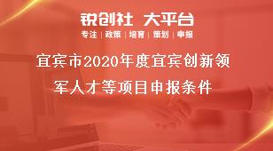 宜賓市2020年度宜賓創(chuàng)新領(lǐng)軍人才等項(xiàng)目申報(bào)條件獎(jiǎng)補(bǔ)政策