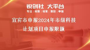 宜賓市申報(bào)2024年市級(jí)科技計(jì)劃項(xiàng)目申報(bào)限額獎(jiǎng)補(bǔ)政策