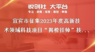 宜賓市征集2023年度高新技術(shù)領(lǐng)域科技項(xiàng)目“揭榜掛帥”技術(shù)需求有關(guān)事項(xiàng)獎(jiǎng)補(bǔ)政策