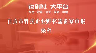 自貢市科技企業(yè)孵化器備案申報條件獎補政策